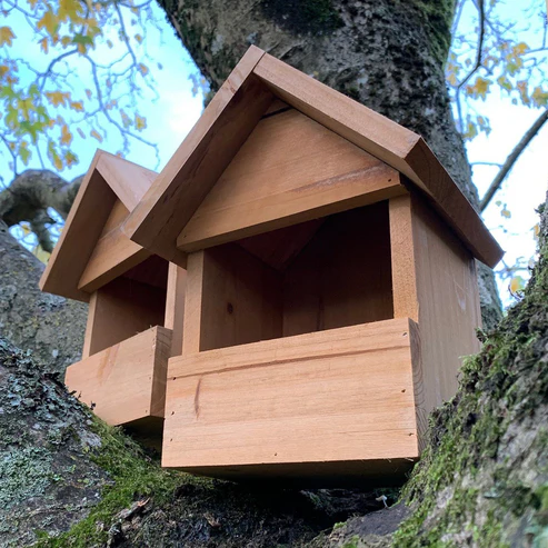 Large Wooden Robin Birdhouse Nest Boxes (Set of 2) – Open Fronted Design with Insulated Walls for Robins & Garden Birds