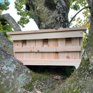 Sparrow Colony Wooden Nesting Box – Handcrafted Triple-Chamber Birdhouse with Removable Fronts