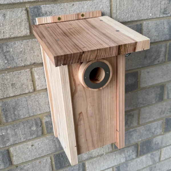Premium Wooden Birdhouse Garden Nest Box (Set of 2) – Insulated Design with Reinforced Entrance Hole for Garden Birds - Image 8