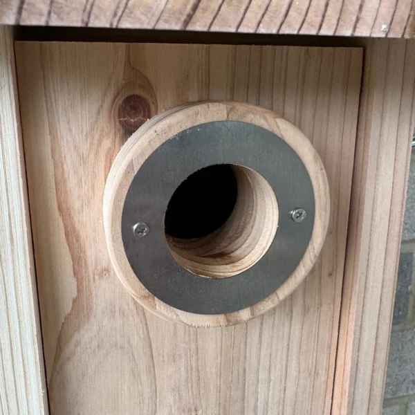 Premium Wooden Birdhouse Garden Nest Box (Set of 2) – Insulated Design with Reinforced Entrance Hole for Garden Birds - Image 4