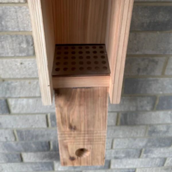 Premium Wooden Birdhouse Garden Nest Box (Set of 2) – Insulated Design with Reinforced Entrance Hole for Garden Birds - Image 2