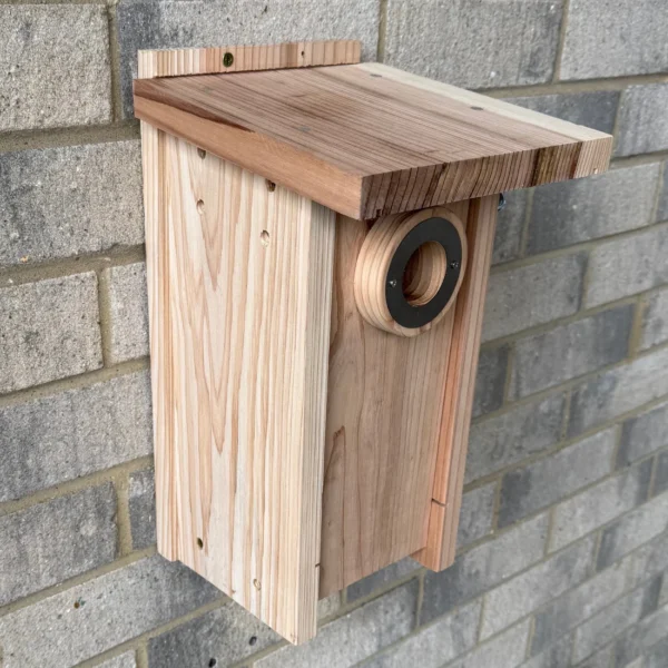 Premium Wooden Birdhouse Garden Nest Box (Set of 2) – Insulated Design with Reinforced Entrance Hole for Garden Birds - Image 6